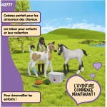 Photo du produit